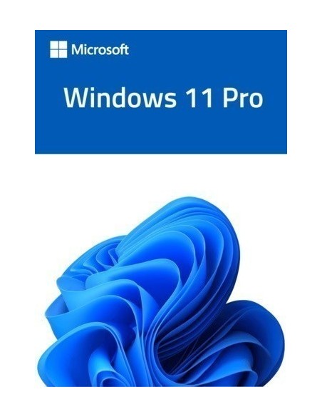 Windows 11 Professional
