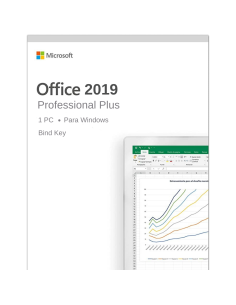 Office 2019 Professional...