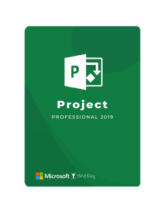 Project Pro 2019 -...