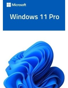 Windows 11 Professional -...